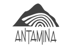 Inicio 11 logo1